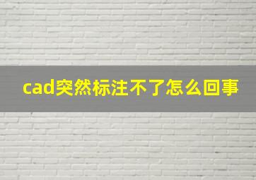 cad突然标注不了怎么回事