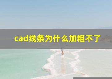 cad线条为什么加粗不了