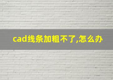 cad线条加粗不了,怎么办