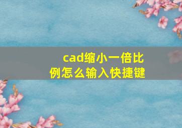 cad缩小一倍比例怎么输入快捷键