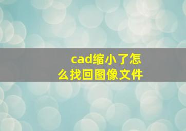 cad缩小了怎么找回图像文件