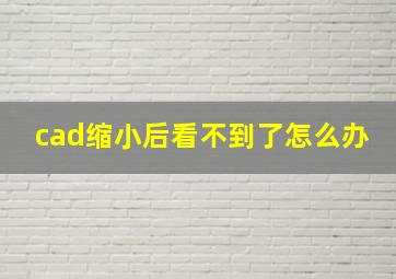 cad缩小后看不到了怎么办