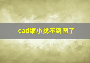 cad缩小找不到图了