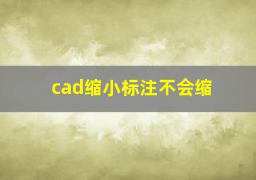 cad缩小标注不会缩