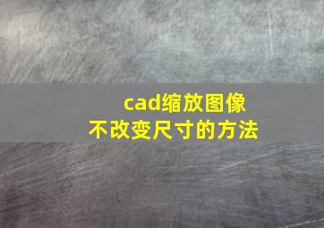 cad缩放图像不改变尺寸的方法