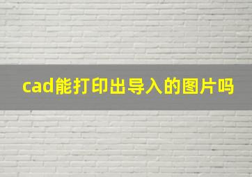 cad能打印出导入的图片吗