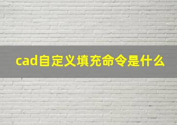 cad自定义填充命令是什么