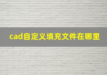 cad自定义填充文件在哪里