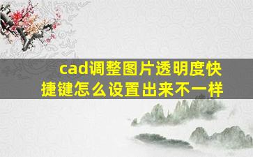 cad调整图片透明度快捷键怎么设置出来不一样