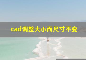 cad调整大小而尺寸不变