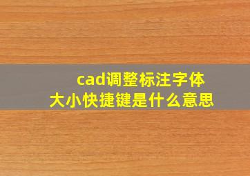 cad调整标注字体大小快捷键是什么意思