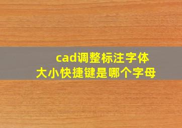 cad调整标注字体大小快捷键是哪个字母