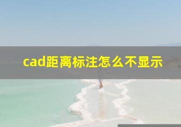 cad距离标注怎么不显示