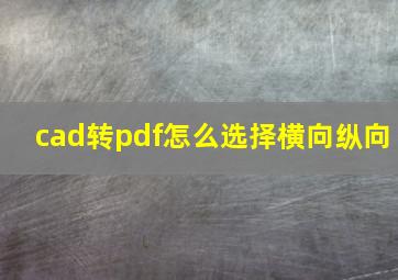 cad转pdf怎么选择横向纵向