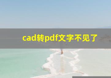 cad转pdf文字不见了