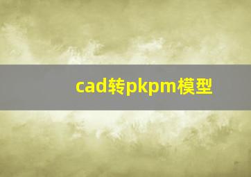 cad转pkpm模型