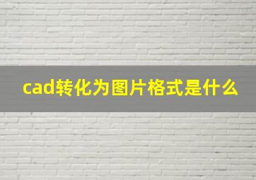 cad转化为图片格式是什么