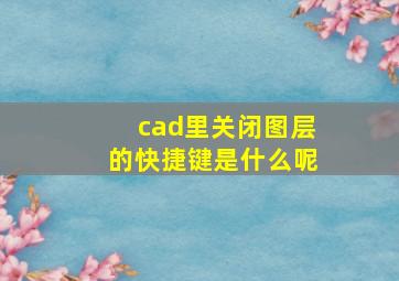 cad里关闭图层的快捷键是什么呢