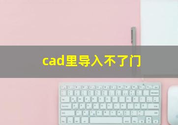 cad里导入不了门