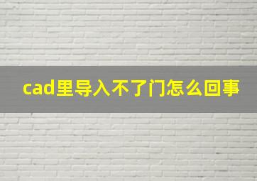 cad里导入不了门怎么回事