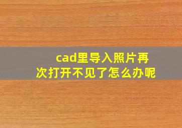 cad里导入照片再次打开不见了怎么办呢