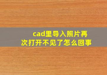 cad里导入照片再次打开不见了怎么回事