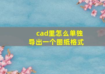 cad里怎么单独导出一个图纸格式