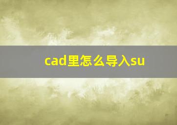 cad里怎么导入su