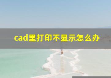 cad里打印不显示怎么办