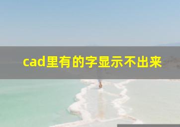 cad里有的字显示不出来