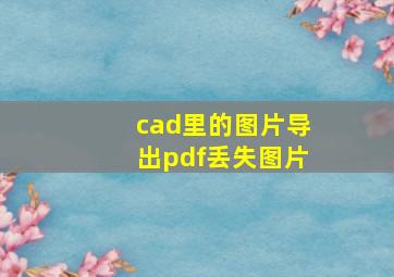 cad里的图片导出pdf丢失图片