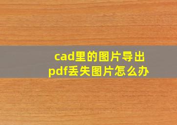 cad里的图片导出pdf丢失图片怎么办