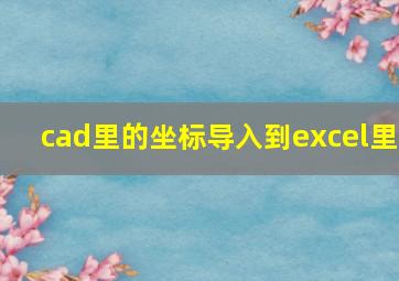 cad里的坐标导入到excel里