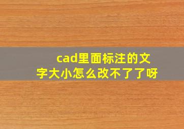 cad里面标注的文字大小怎么改不了了呀