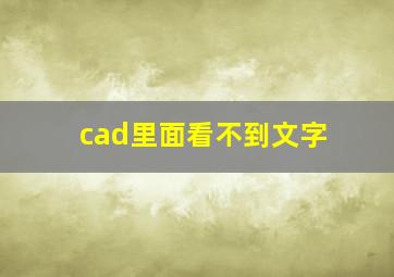 cad里面看不到文字