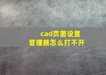 cad页面设置管理器怎么打不开