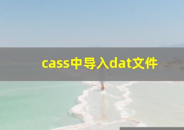 cass中导入dat文件