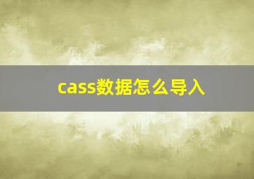 cass数据怎么导入