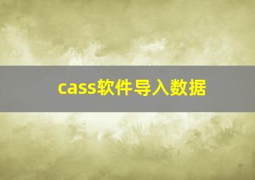 cass软件导入数据