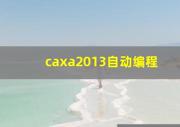 caxa2013自动编程