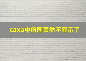 caxa中的图突然不显示了