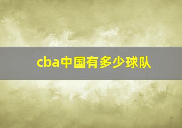 cba中国有多少球队