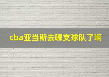 cba亚当斯去哪支球队了啊