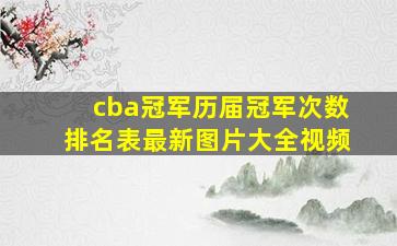 cba冠军历届冠军次数排名表最新图片大全视频