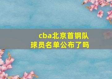 cba北京首钢队球员名单公布了吗