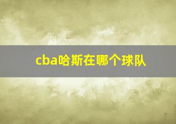 cba哈斯在哪个球队