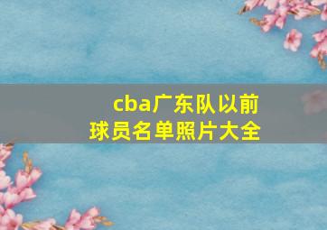 cba广东队以前球员名单照片大全