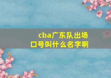 cba广东队出场口号叫什么名字啊