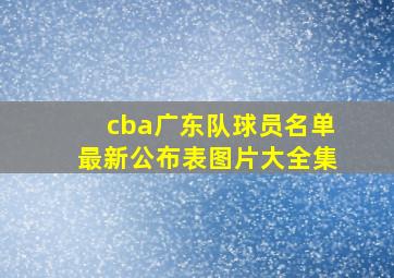 cba广东队球员名单最新公布表图片大全集