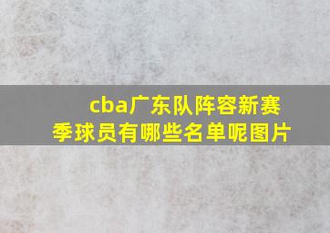 cba广东队阵容新赛季球员有哪些名单呢图片